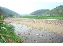 文昌鎮西河村重要堤防加固工程
