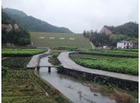 淳安縣新店水庫